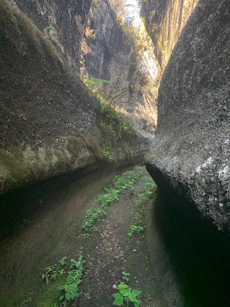 Labyrinth at Asilo de la Paz, Floerana