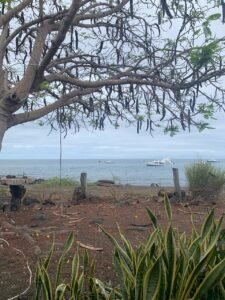 Floreana view from Playa Negra