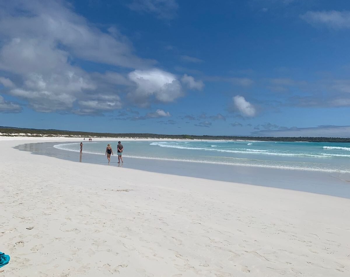Top 5 Ecuadorian beaches