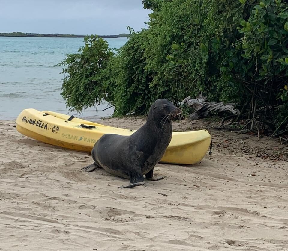 5 things to do in Isabela – Galapagos