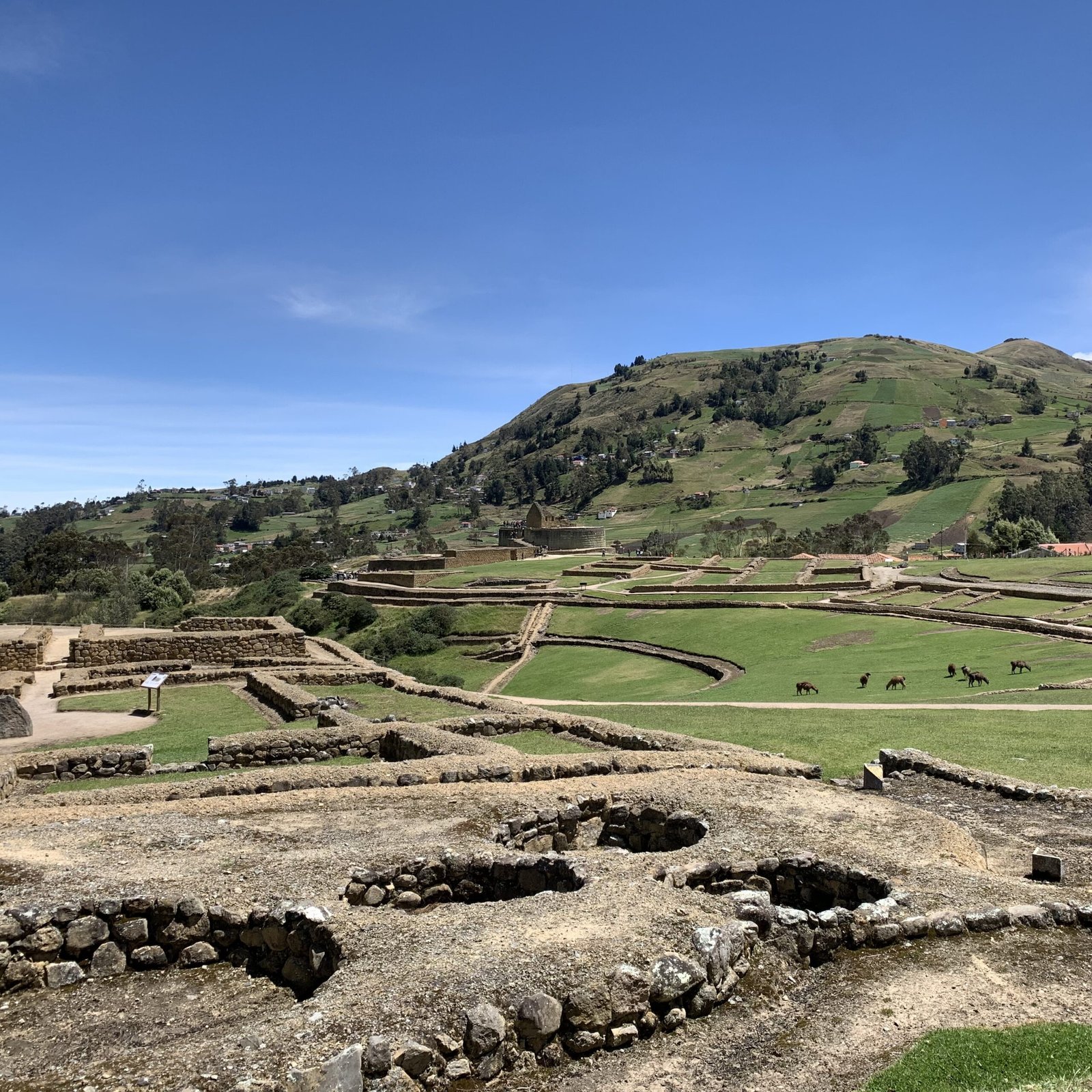 Ingapirca Ruins Guide From Cuenca — How to Get There, History, and Travel Tips