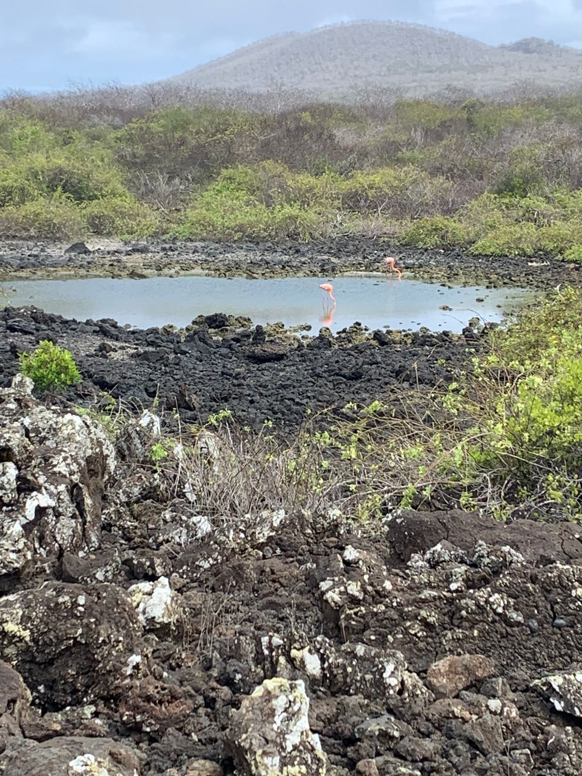 Top 10 tips for Visiting the Galapagos Islands (Part 2)