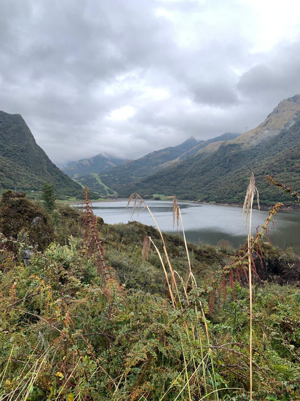 Papallacta Hot Springs, Ecuador: The Ultimate Guide to Relaxation in the Andes