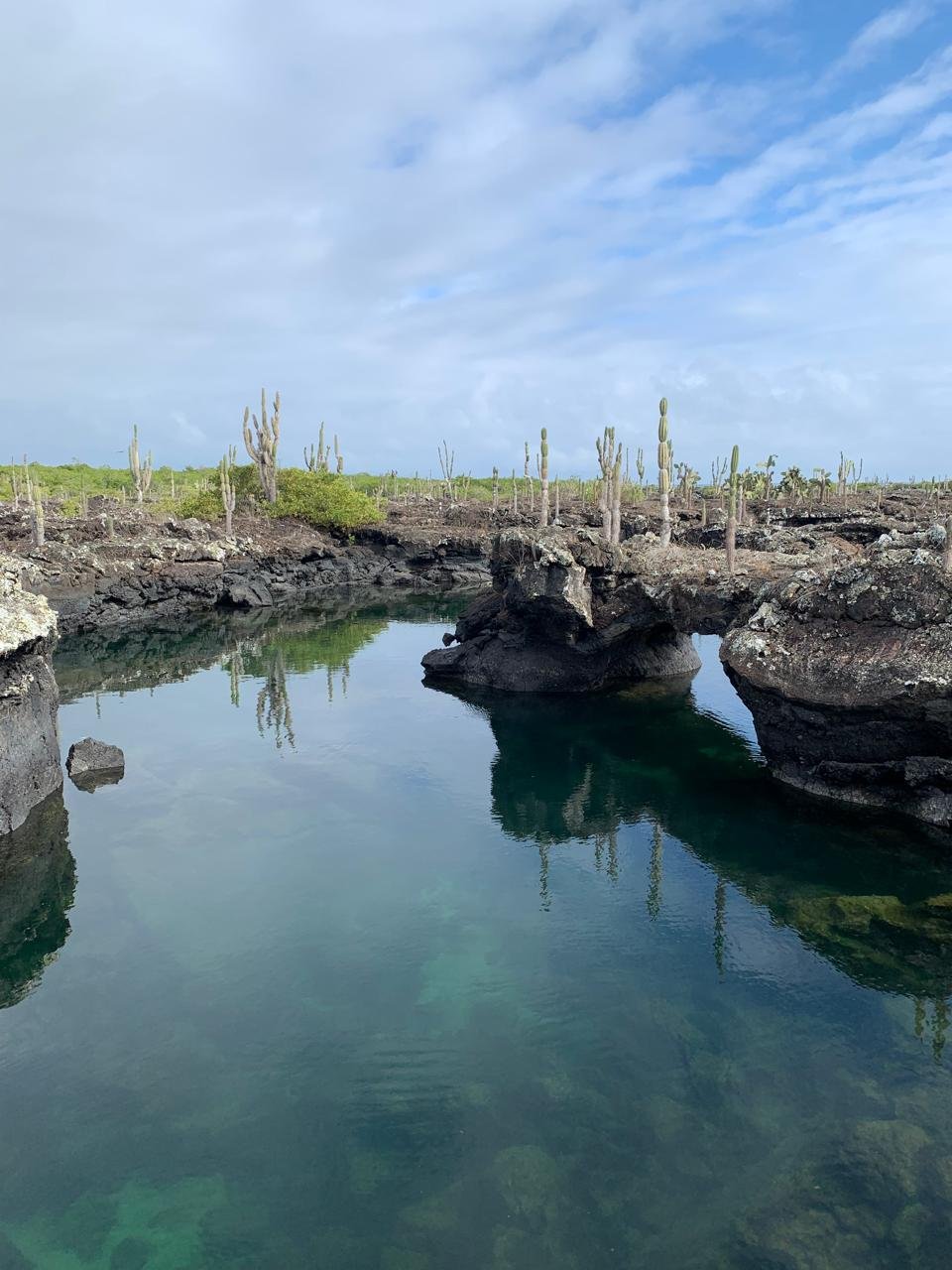 tuneles-isabela-galapagos